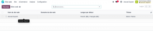 Selection site web odoo